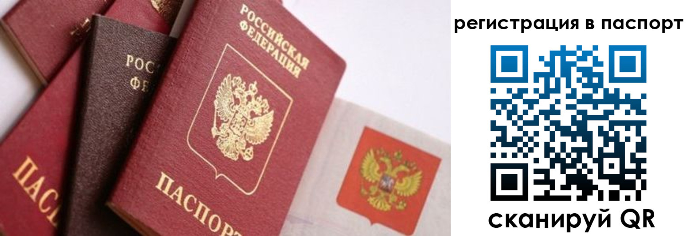 прописка в квартире в Светлогорске