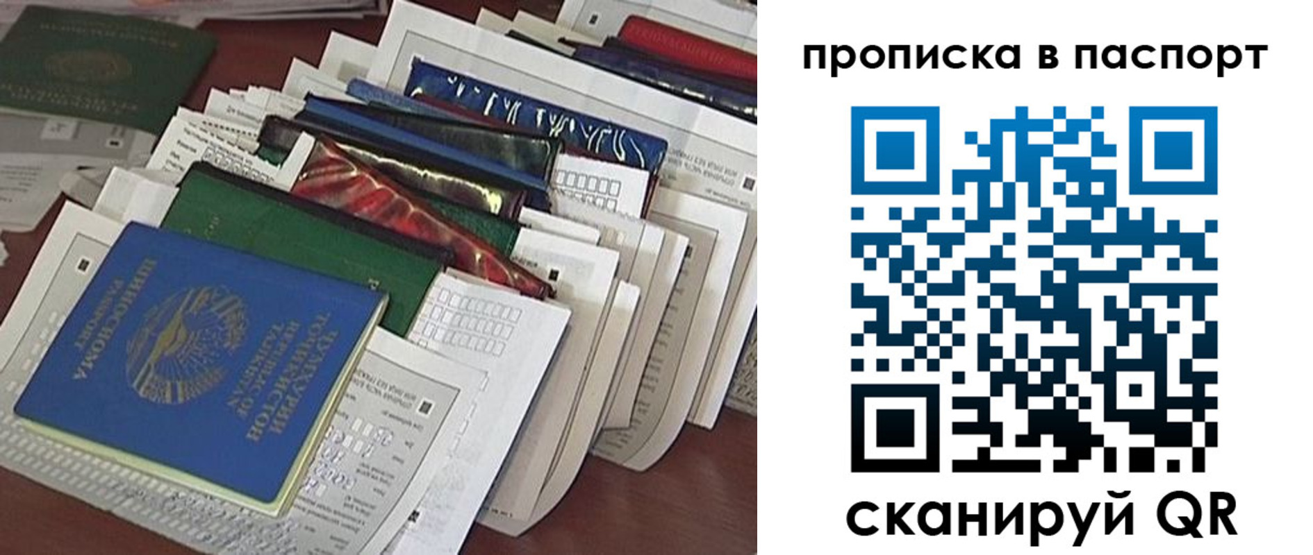 прописка для работы в Светлогорске